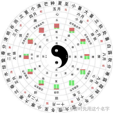 一字五行属什么|五行汉字属性查询